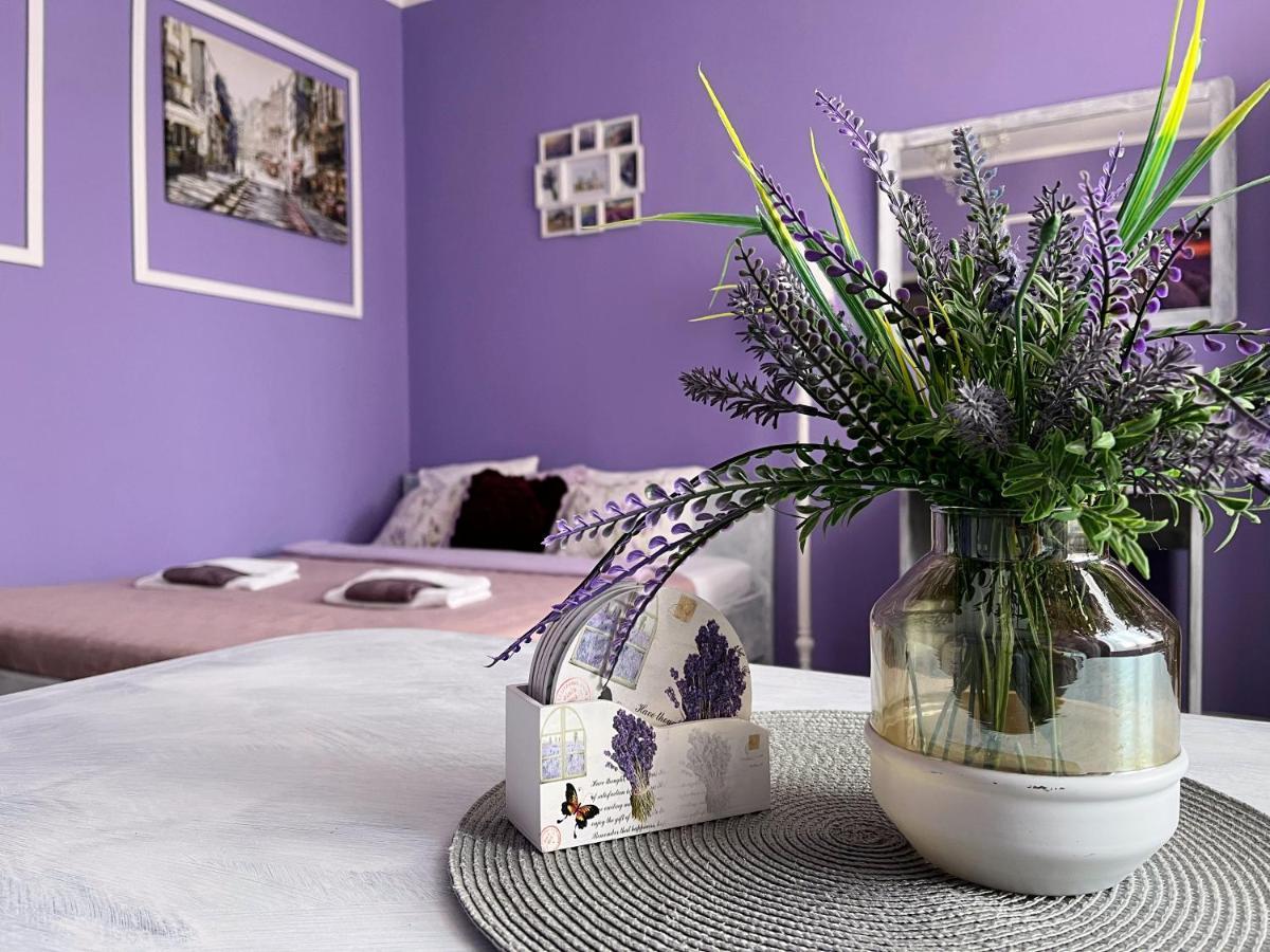 Apartament Lawendowy 瓦乌布日赫 外观 照片